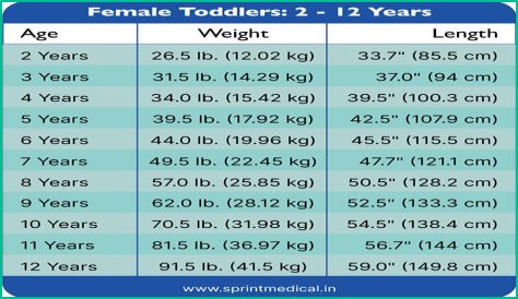 Dido Bra Size, Age, Weight, Height, Measurements